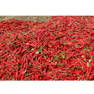 Red chili powder